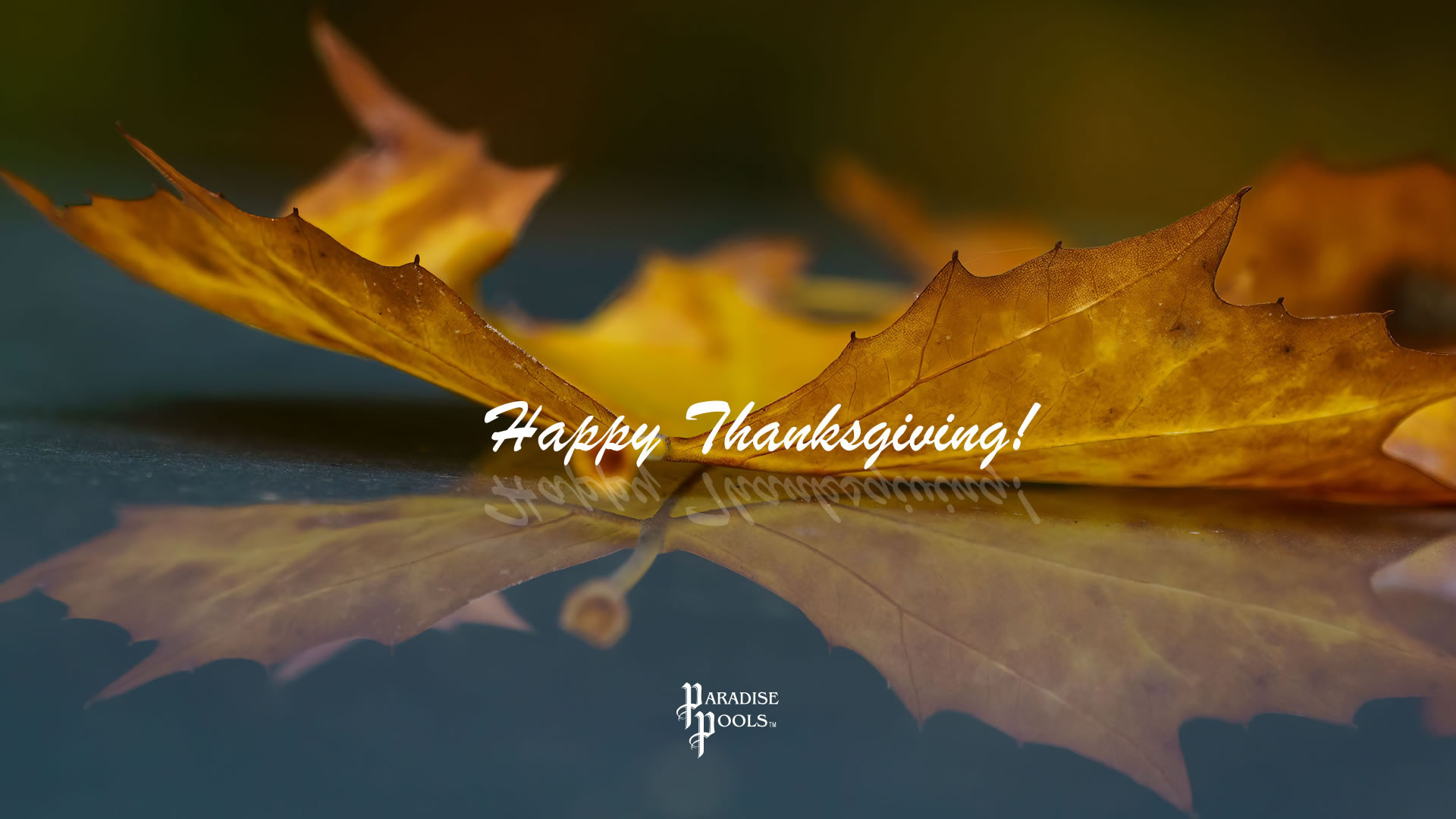 Happy Thanksgiving from Paradise PoolsTM (559) 635-9637
